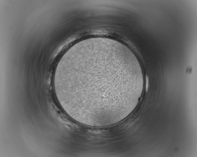X0000111630723200908141342