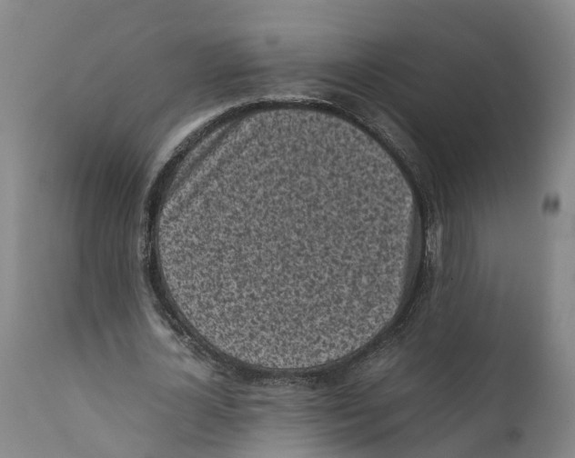 X0000111630724200908141342