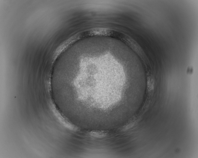 X0000111630725200908141342