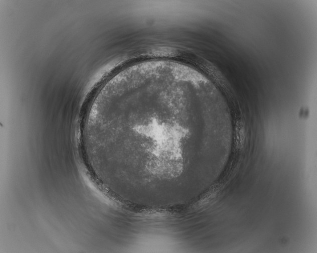 X0000111630726200908141342