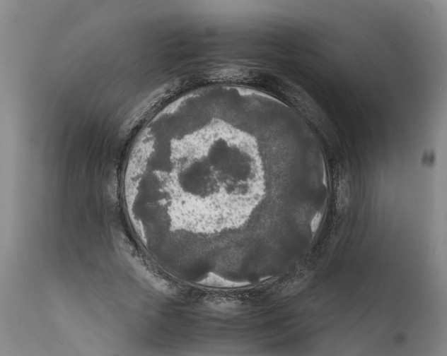 X0000111630729200908141342