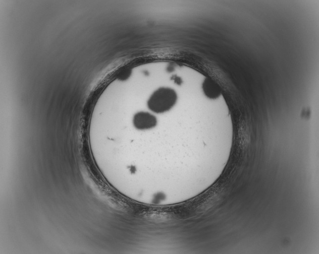 X0000111630730200908141342