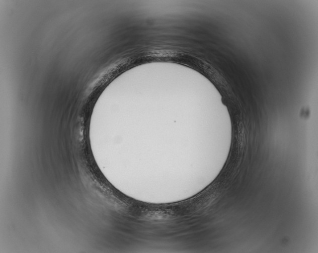 X0000111630731200908141342