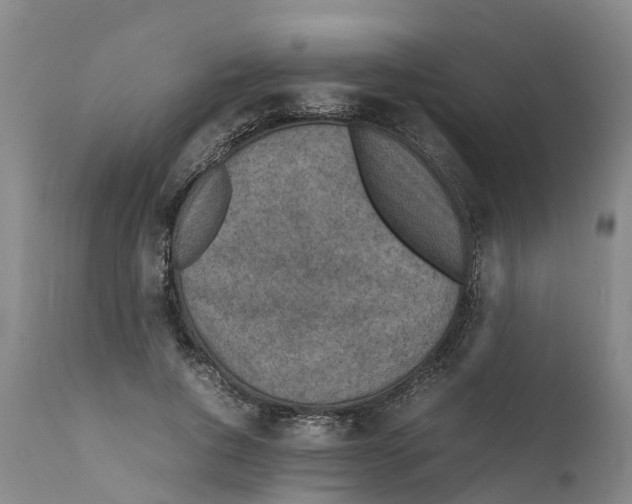 X0000111630736200908141342