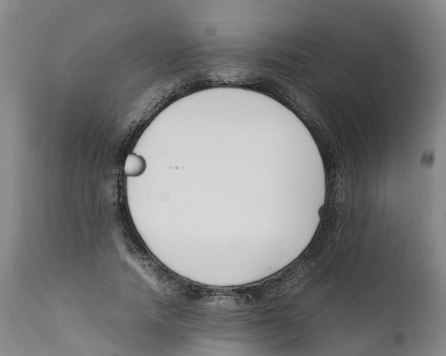 X0000111630738200908141342