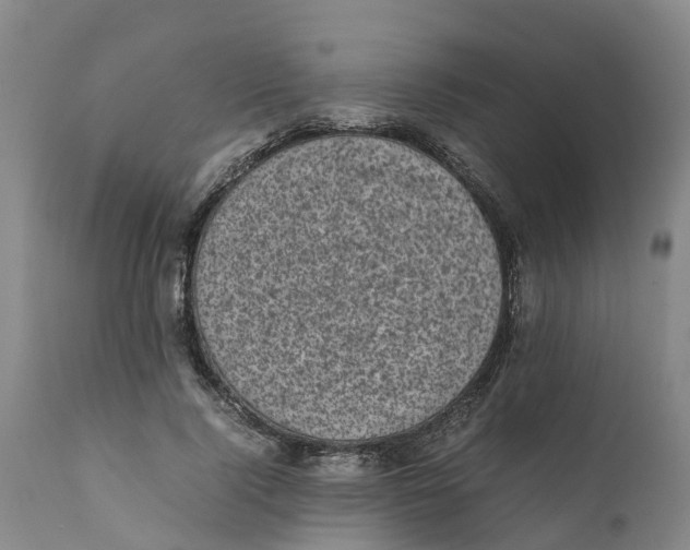 X0000111630740200908141342