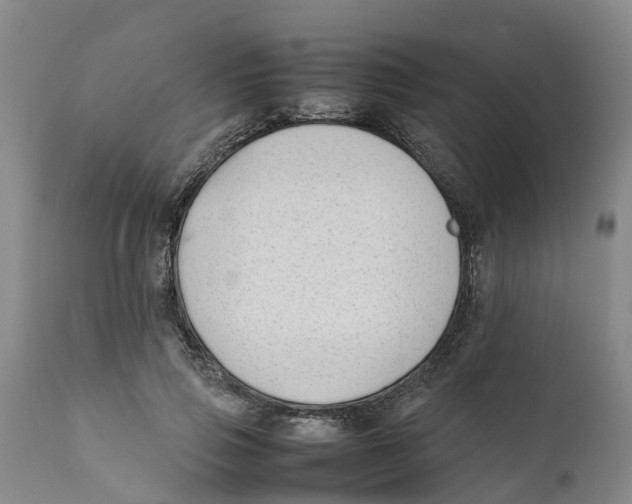 X0000111630741200908141342