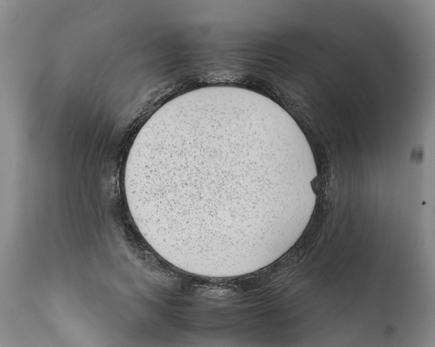 X0000111630743200908141342