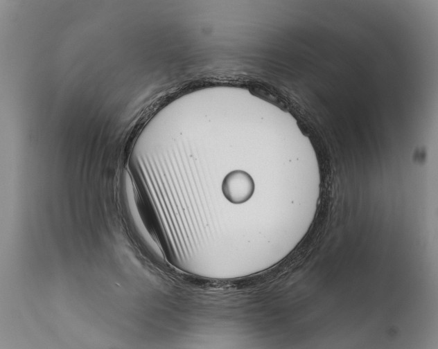 X0000111630744200908141342