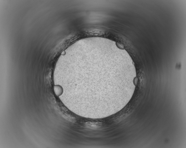 X0000111630745200908141342