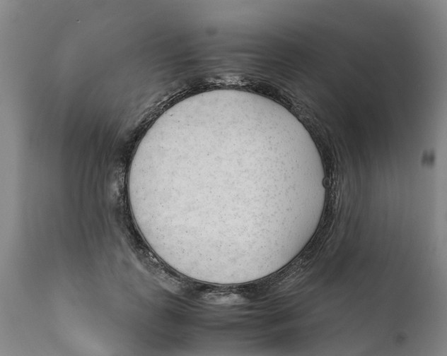 X0000111630747200908141342