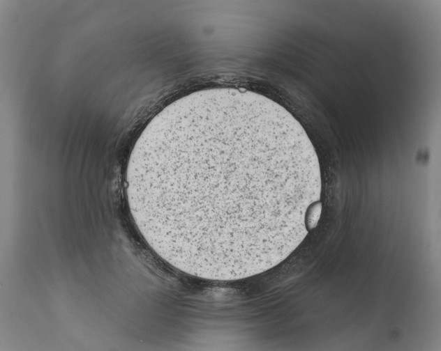 X0000111630748200908141342