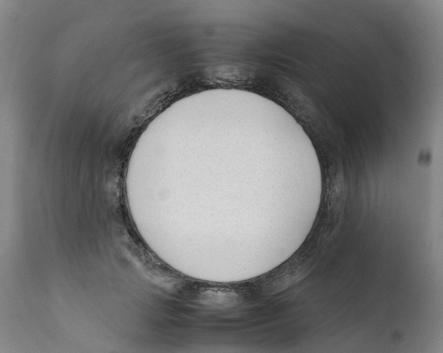 X0000111630749200908141342