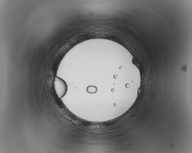 X0000111630752200908141342