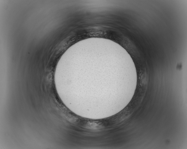 X0000111630753200908141342