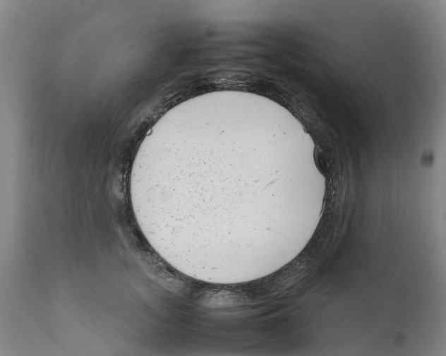 X0000111630755200908141342
