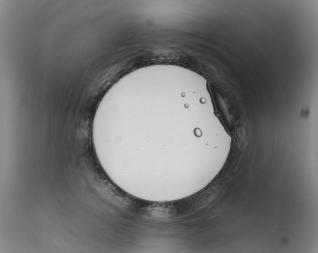 X0000111630756200908141342