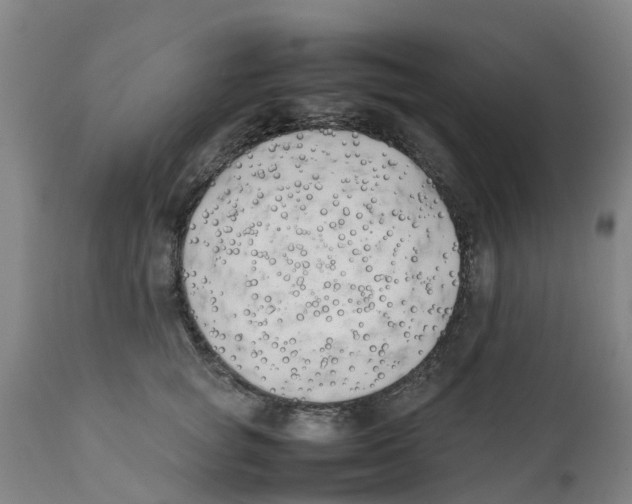 X0000111630757200908141342