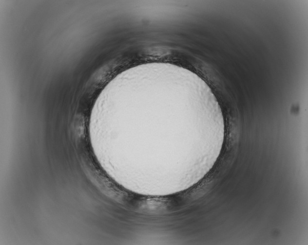 X0000111630758200908141342