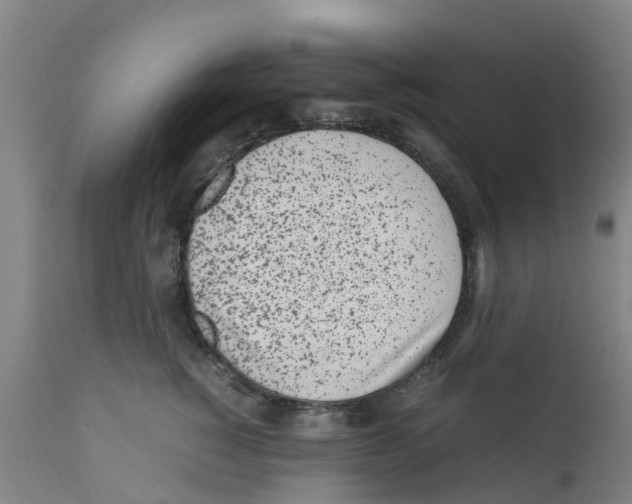 X0000111630760200908141343