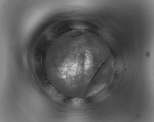 X0000111630762200908141343