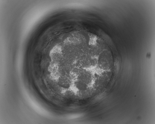 X0000111630765200908141343