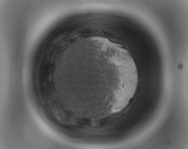 X0000111630766200908141343