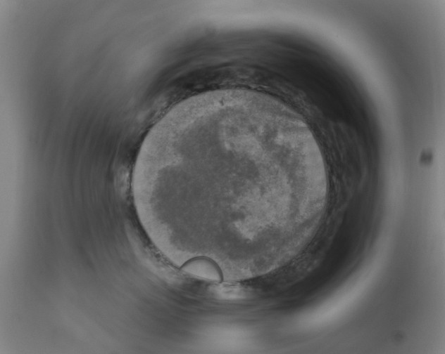 X0000111630767200908141343