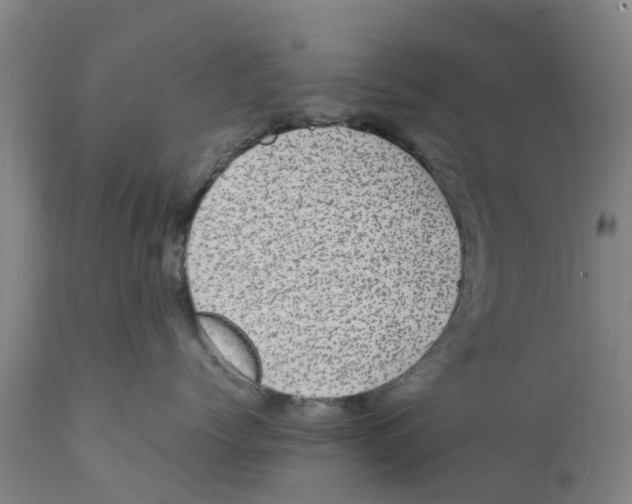 X0000111630768200908141343