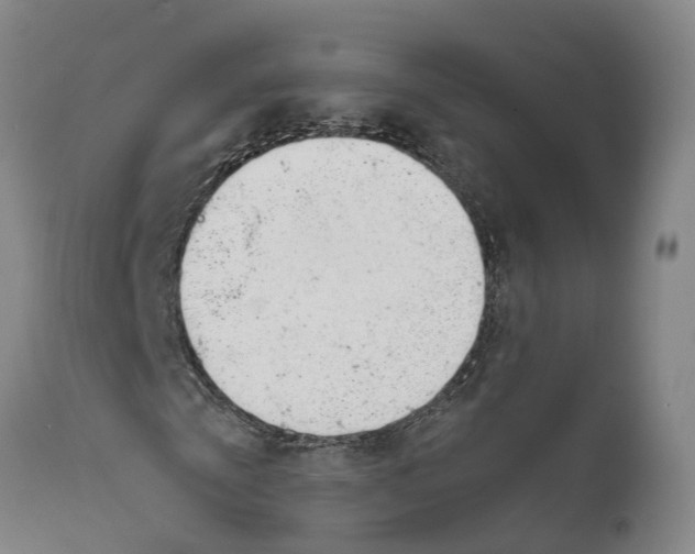 X0000111630769200908141342