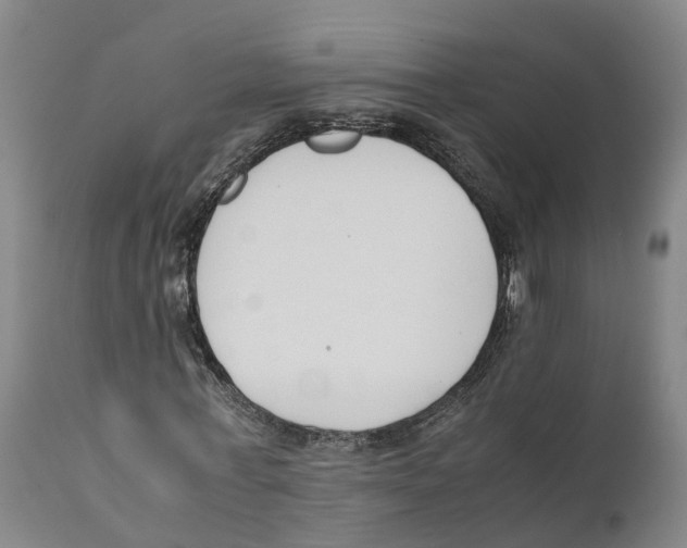 X0000111630771200908141342