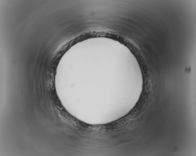 X0000111630775200908141342