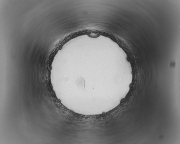 X0000111630776200908141342