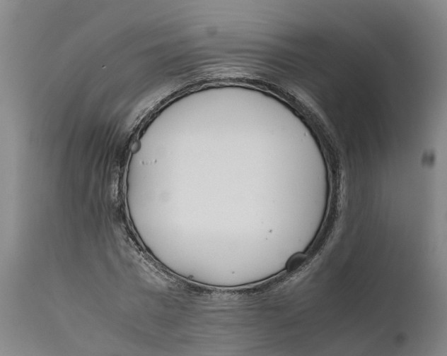 X0000111630777200908141342