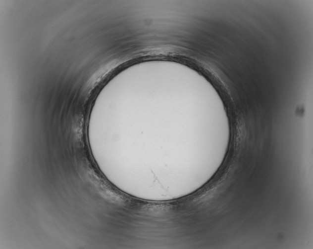 X0000111630778200908141342