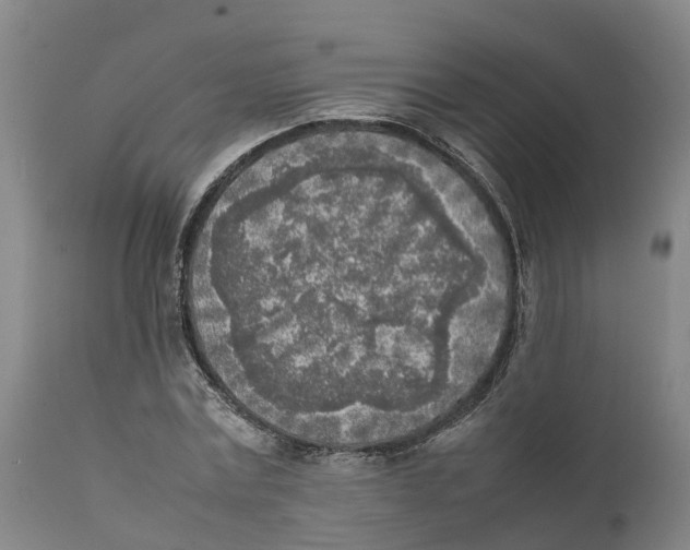 X0000111630779200908141342