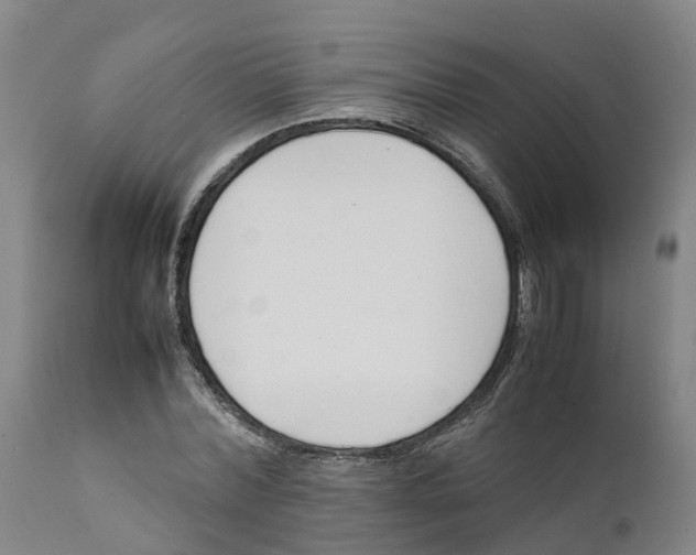 X0000111630780200908141342
