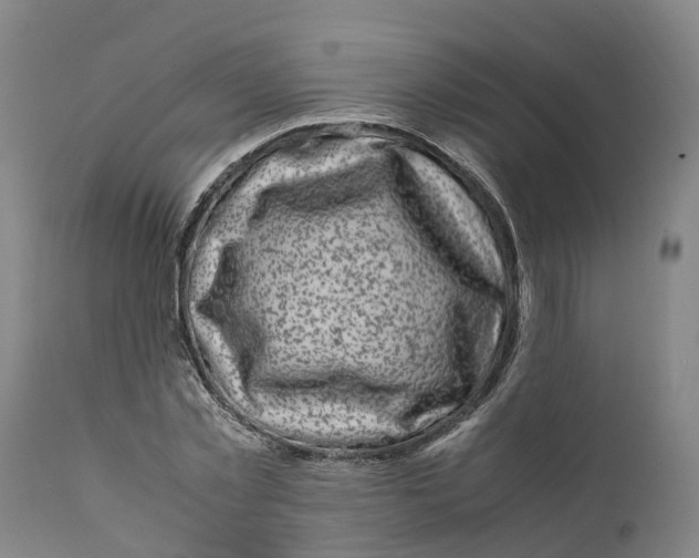 X0000111630781200908141342