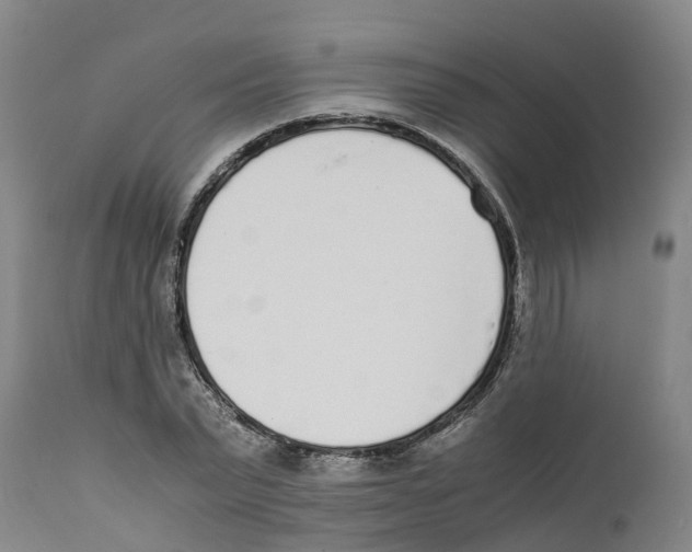 X0000111630783200908141342