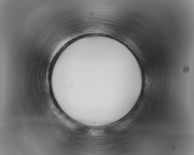 X0000111630788200908141342