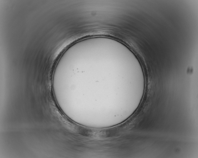 X0000111630789200908141342