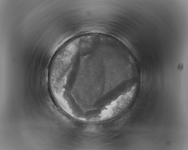 X0000111630790200908141341