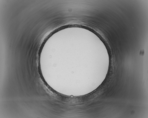 X0000111630791200908141341