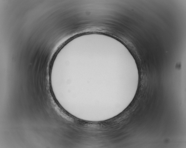 X0000111630792200908141341