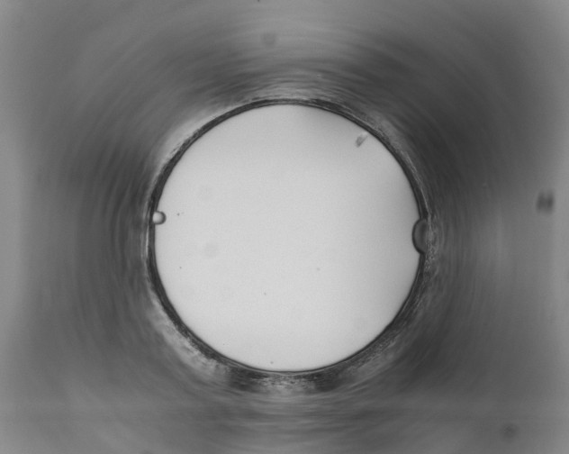 X0000111630795200908141341
