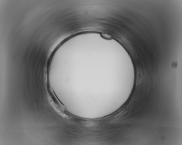 X0000111630796200908141341