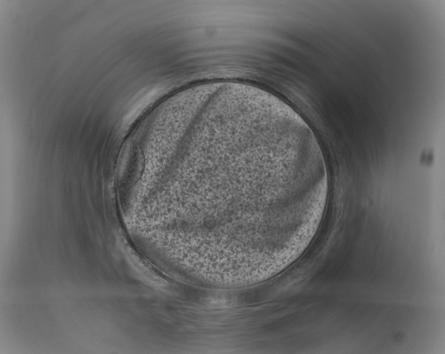 X0000111630797200908141341