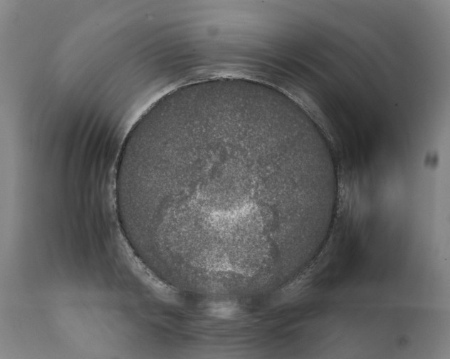 X0000111630798200908141341