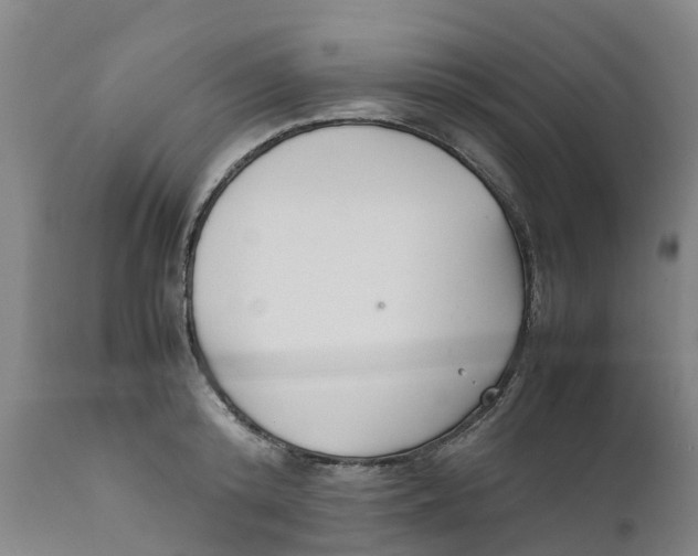 X0000111630800200908141341