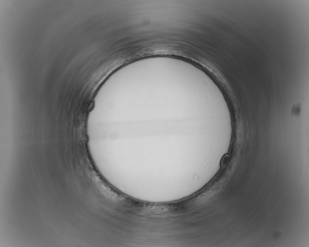 X0000111630801200908141341